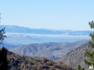 Valle del Genil:Naturaleza Sierra Nevada; bosque de irati rutas camino de santiago en grupo ruta alt